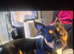 French bulldog/ jack russell