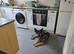 German shepherd cross