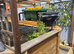 10 by 10 fish pond plus set up