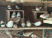 2026 Zebra Finches for sale