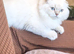 Beautiful folded boy