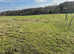 Livery Grass DIY or assisted DIY