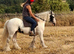 Perfect pc pony/mother, daughter share