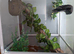 White glass Vivarium for sale suitable for Reptiles & Amphibian,s