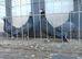Van de merwe pigeons