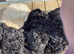 Kennel club toy poodles