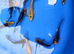 4-6" butterfly koi PLEASE SEE PRICING