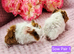 2 Sow Pairs ready 24/10/26