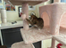 Female Tabby Kitten