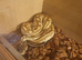 Stunning banana python female