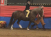 Lr m&m pony