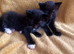 Adorable boys