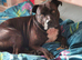 3yr old loving Staffy for Sale