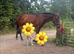 Project horse 15.3 5 year old tb