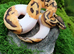 Baby Emoji Pied Royal Python