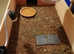 Baby Mediterranean Hermanns & Spur Thigh Tortoises with full set-up