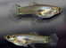 Mixed guppies 2-3 cm; Small size Endler guppy Fry. Fast delivery within mainland UK.