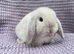 Mini lops