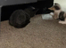 3 kittens