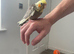 Baby cockatiel