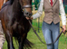 Stunning full up 13.2 mare
