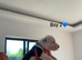10 beautiful blue staffy