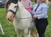 Ride and drive mare