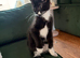 Young girl needing a loving home