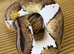 X5 Royal pythons plus Snake rack