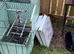 Breeding cage Glasgow