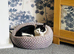 Black and white very affectionate boy