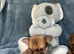 Pomeranian puppies