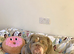 English Bulldog Male & Female