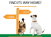 Dog Walking and Pet Sitting