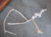 TWO TREATED SMOOTH BARK FREE BRANCHES WITH SECURE WINGNUT FIXTURE PERFECT FOR REPTILES/BIRDS