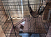 Foldable cage/playpen for pets