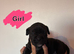 Cane corso x puppies