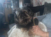 Pekingese
