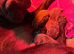 Top quality sharpei puppies kc registered