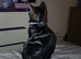 Cat for sale