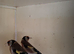 12 Goldfinch