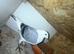 Turkish, polish, American show racer, racer pigeon for sale Diferent price and preceding pairs available