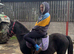 Susie - 3-Year-Old Dartmoor Mare For Sale