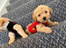 Two boys