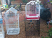 Bird cages for sale