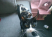Adorable Kittens &pound;80