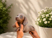 8-week-old Miniature Dachshund boys looking for their forever homes.