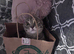 Female kitten looking for a secure forever home