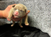 1male and 2girls left