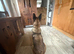 Belgian malinois
